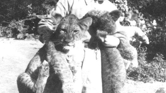 Zoo w Zamościu przed wojną