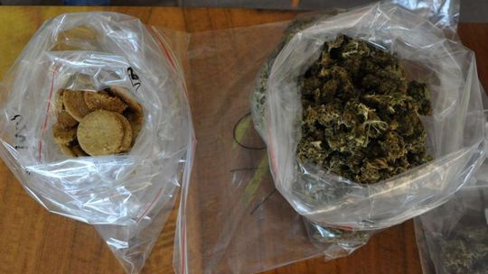 Chełm: Odurzające ciasteczka