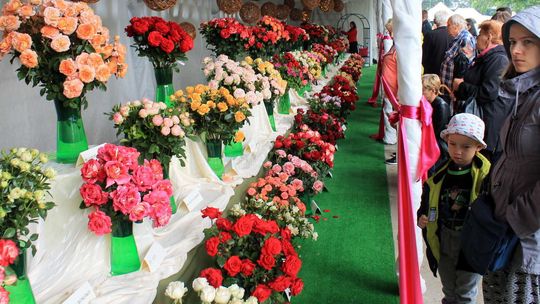 Święto Róż 2018, Końskowola