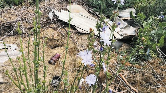 Śmieci wywiezione z cmentarza w Woli Osowińskiej