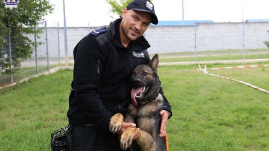 Lublin: Zmagania psów policyjnych