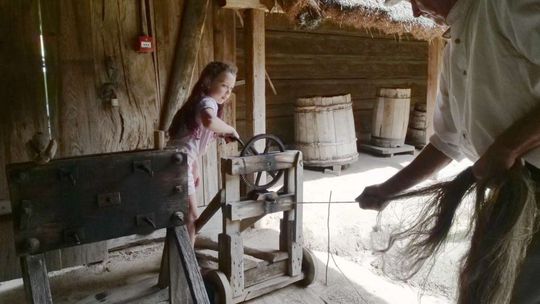 Muzeum Wsi Lubelskiej: pokazy dawnych zawodów 