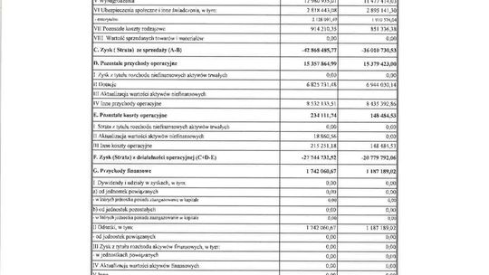 Sprawozdania finansowe spółek