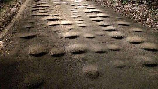 Gruntowa droga w gminie Biała Podlaska