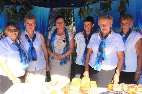 Stowarzyszenie Kobiety Razem z Klementowic