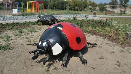 Park przy ul. Zawilcowej. Kolejny termin otwarcia