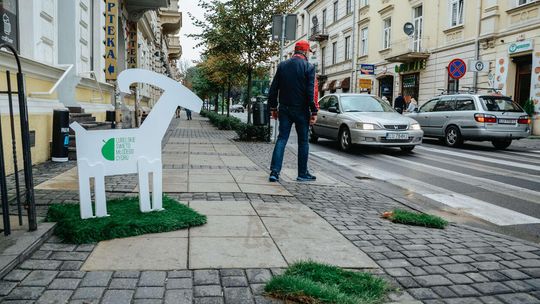 Lubelskie Święto Młodego Cydru 2018
