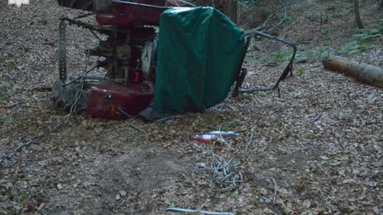 Krasnobród: Tragiczny wypadek w podczas wycinki