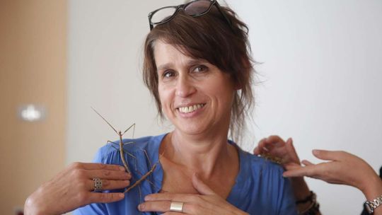 Katarzyna Golan, kierownik Zakładu Entomologii Uniwersytetu Przyrodniczego