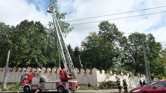 Wichura w Lublinie i regionie