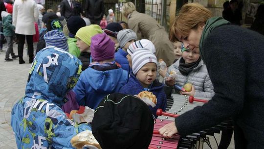 Park leśny w Kraśniku