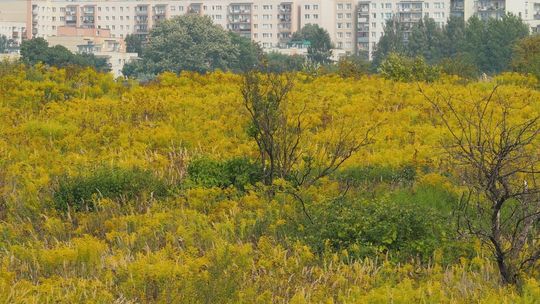 Co kandydaci na prezydenta Lublina sądzą o najważniejszych sprawach