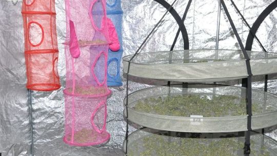 Łęczna. Narkotykowy biznes zlikwidowany Łęczna. Narkotykowy biznes zlikwidowany