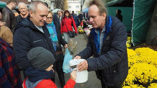 Dzień Wszystkich Świętych: cmentarz przy ul. Lipowej