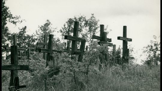 Poruczone mi obowiązki oglądacza zwłok jak najsumienniej wykonywać będę