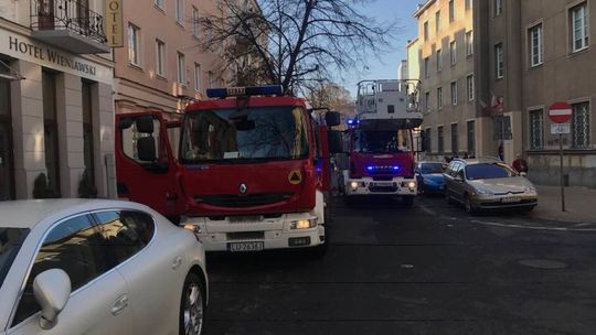 Ul. Sądowa: Kot na drzewie. Interwencja strażaków