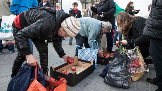 Darmowe jabłka w Lublinie