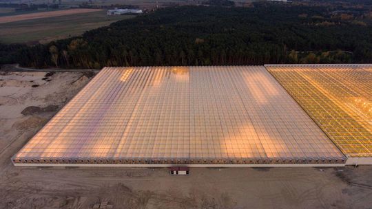 Nowa inwestycja JMP Flowers ze Stężycy Nowa inwestycja JMP Flowers ze Stężycy