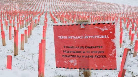 Drewniane paliki w wąwozie na Czubach