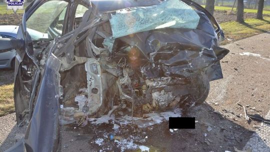 Rogoźnica Kolonia: Czołowe zderzenie samochodów