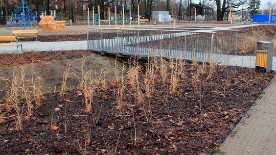 Błonia odebrane, czekają na spacerowiczów