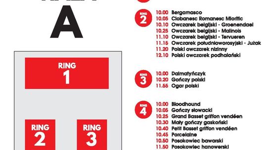 Wystawa psów rasowych w Lublinie. Harmonogram w niedzielę