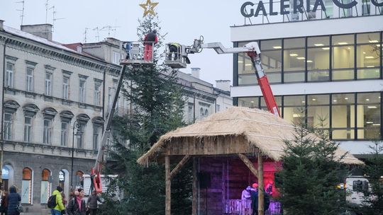 Lublin: Szopka i choinka przed pedetem