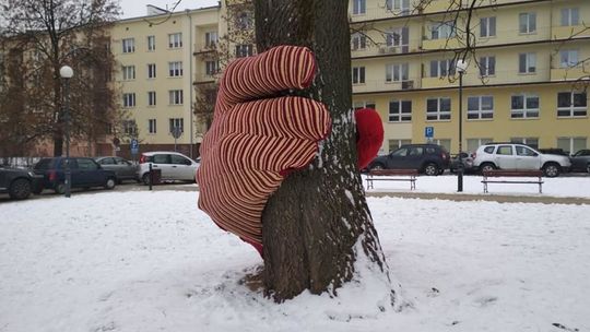 Rękawiczka na Czarciej Łapie