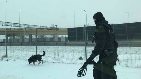 Tajemnicze pakunki obok obwodnicy Lublina