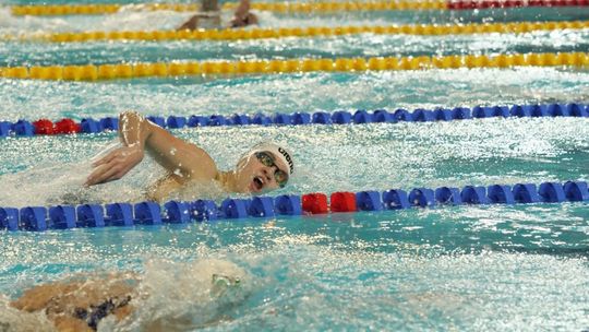 Zimowe Mistrzostwa Polski w pływaniu