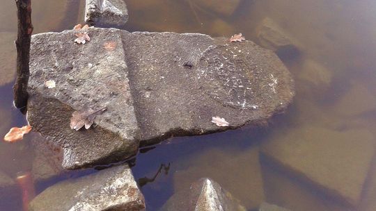 Nagrobek pielęgniarki, która zginęła podczas I wojny światowej