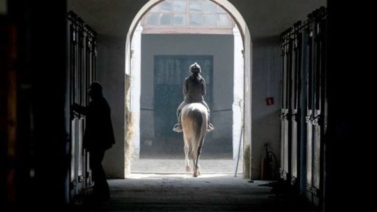 Gafa, nagrody i węgiel: polityczny alfabet roku 2018 