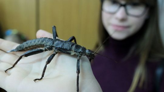 Noc biologów na UMCS
