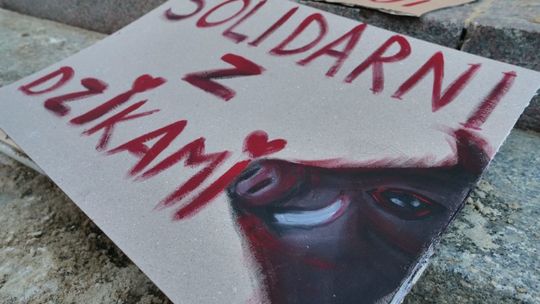 Protest w obronie dzików