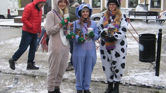 WOŚP 2019 w Chełmie