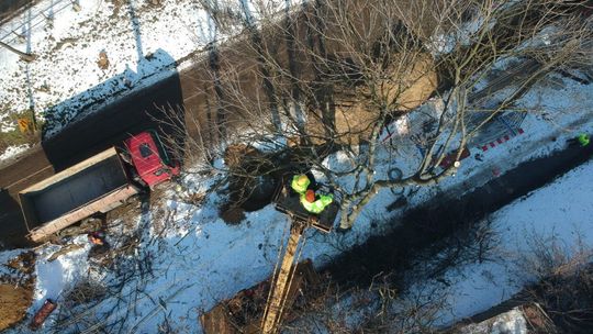 Duża wycinka drzew wzdłuż przebudowywanej ul. Kalinowszczyzna Duża wycinka drzew wzdłuż przebudowywanej ul. Kalinowszczyzna
