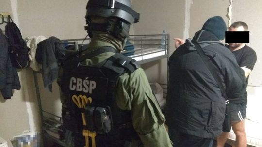 Nielegalna fabryka papierosów