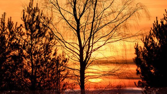 Zima. Zdjęcia naszych Czytelników