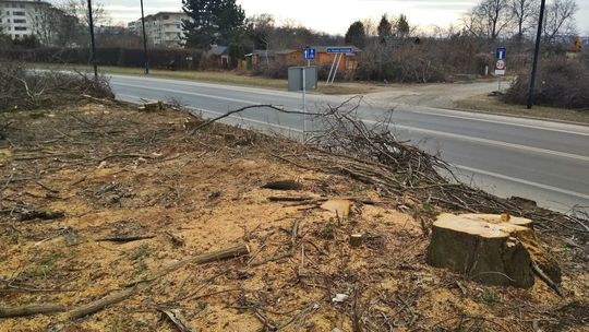 Przebudowa ul. Koncertowej w Lublinie