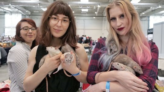 Targi Zoologiczne ZOOPARK