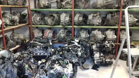 Zlikwidowana dziupla samochodowa koło Garwolina Zlikwidowana dziupla samochodowa koło Garwolina