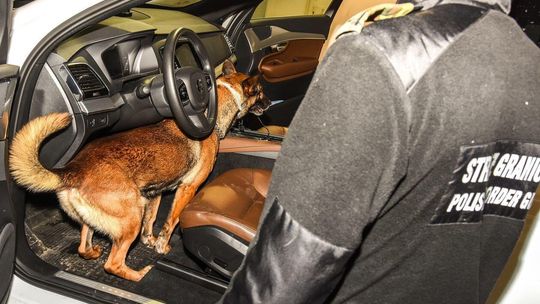 Rosjanie wpadli z haszyszem za 10 mln złotych