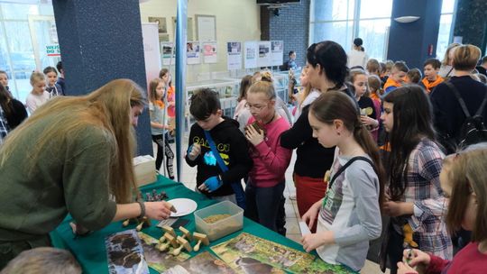 Międzynarodowy Dzień Lasów w Centrum Kongresowym UP Międzynarodowy Dzień Lasów w Centrum Kongresowym UP