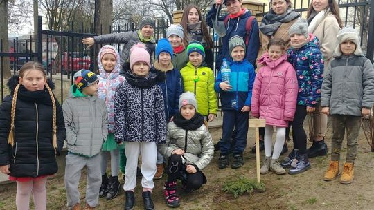 Licealiści z II LO w Puławach krzewią zakorzenianie