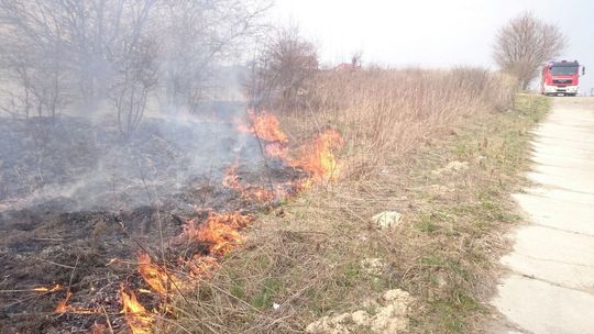 Pożar traw na ul. Torowej w Lublinie