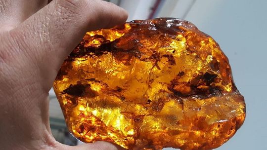 Wszystko to znaleziono na granicy