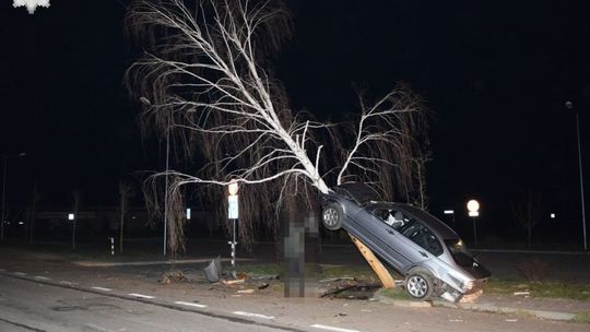 Janów Lubelski. Kierowca BMW wjechał na drzewo