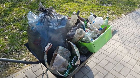 Nie wstydzę się, że sprzątam po innych