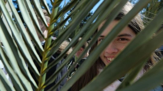 Niedziela Palmowa w Lublinie Niedziela Palmowa w Lublinie