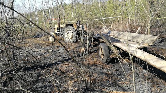 Pożar lasu w miejscowości Rowiny Pożar lasu w miejscowości Rowiny